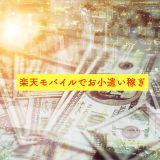 楽天モバイルで副業、MNP弾で運用が最適